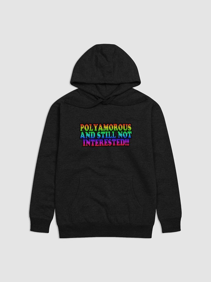 Polyamorous and Still not Interested Hoodie product image (1)