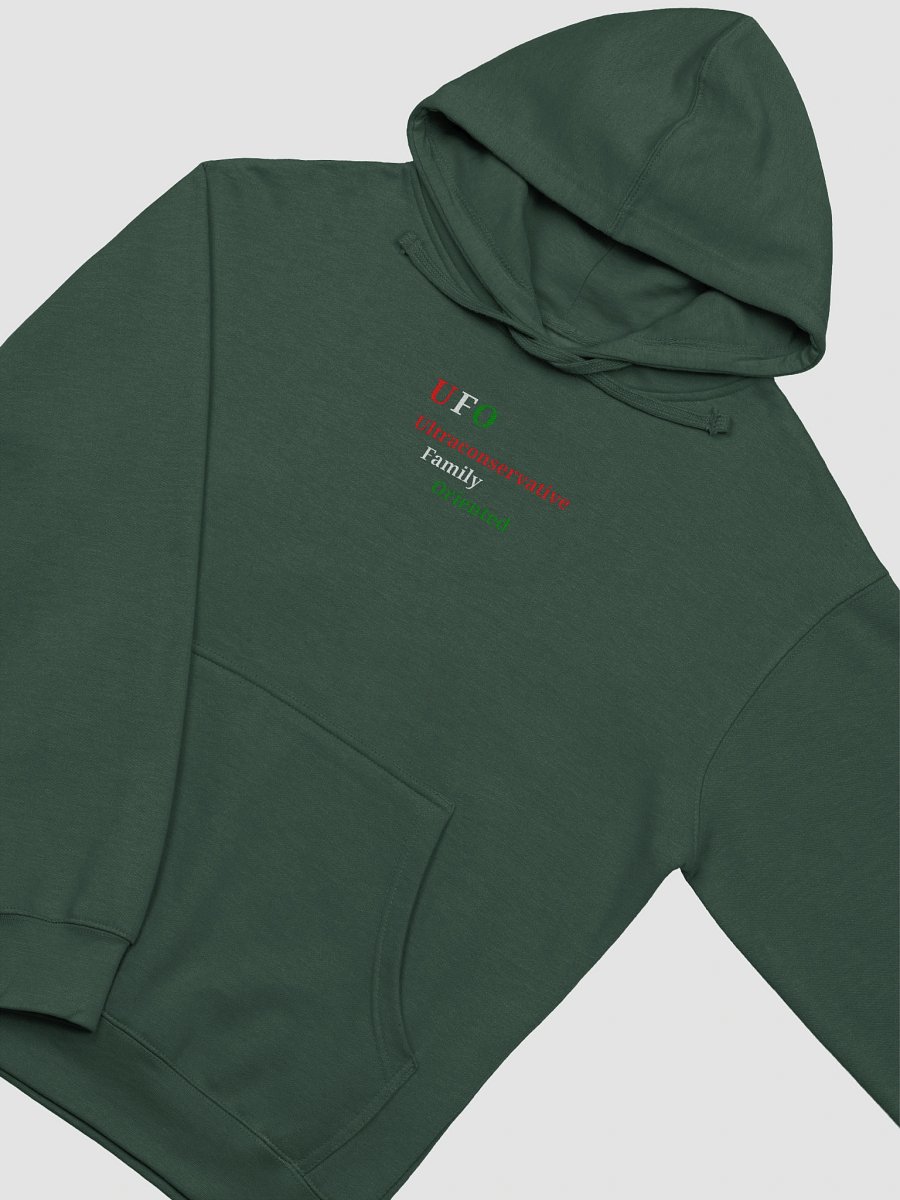 UFO Ultraconservative Family Oriented Hoodie product image (3)