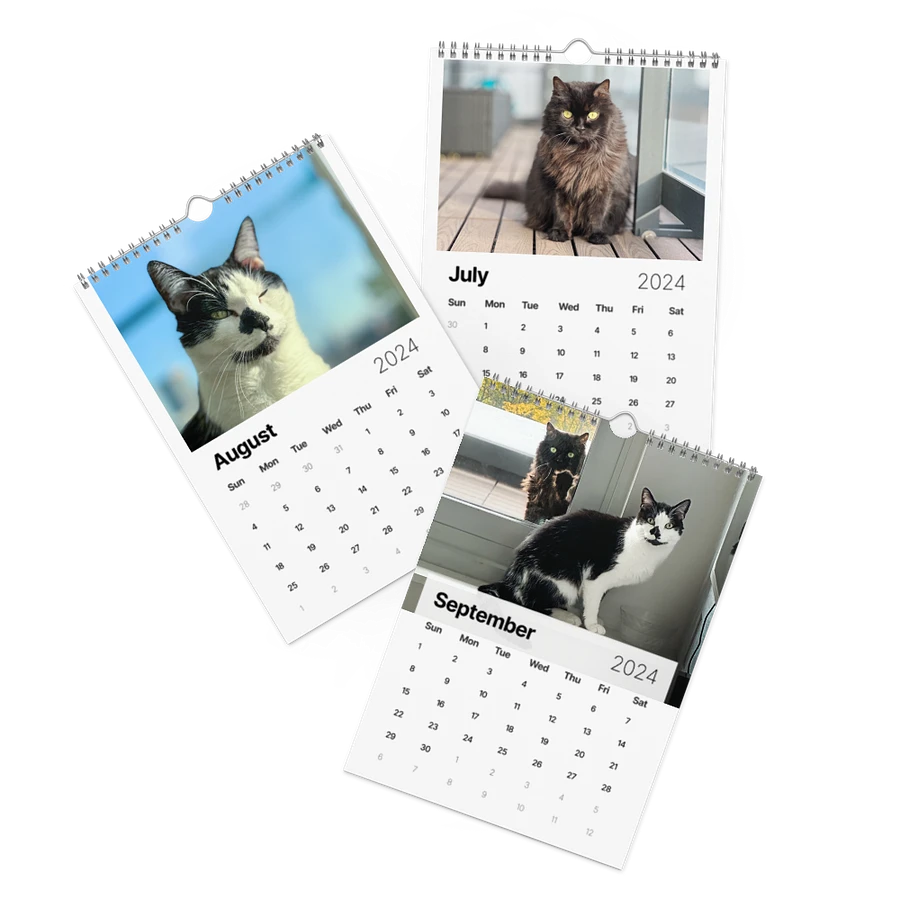 The 2024 ShoKo Cat Calendar product image (11)