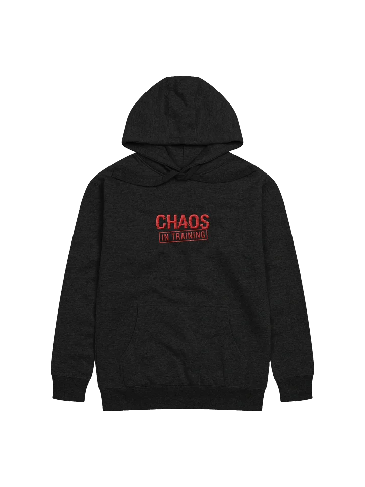 Chaos in Training Hoodie product image (3)