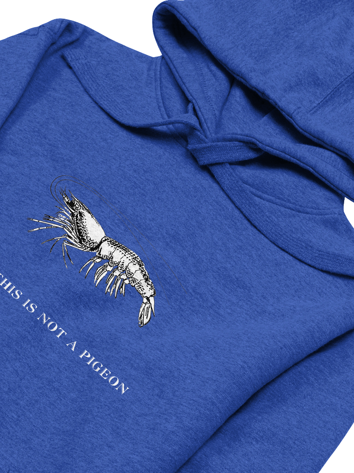 Not A Pigeon- Prawn Hoodie product image (27)
