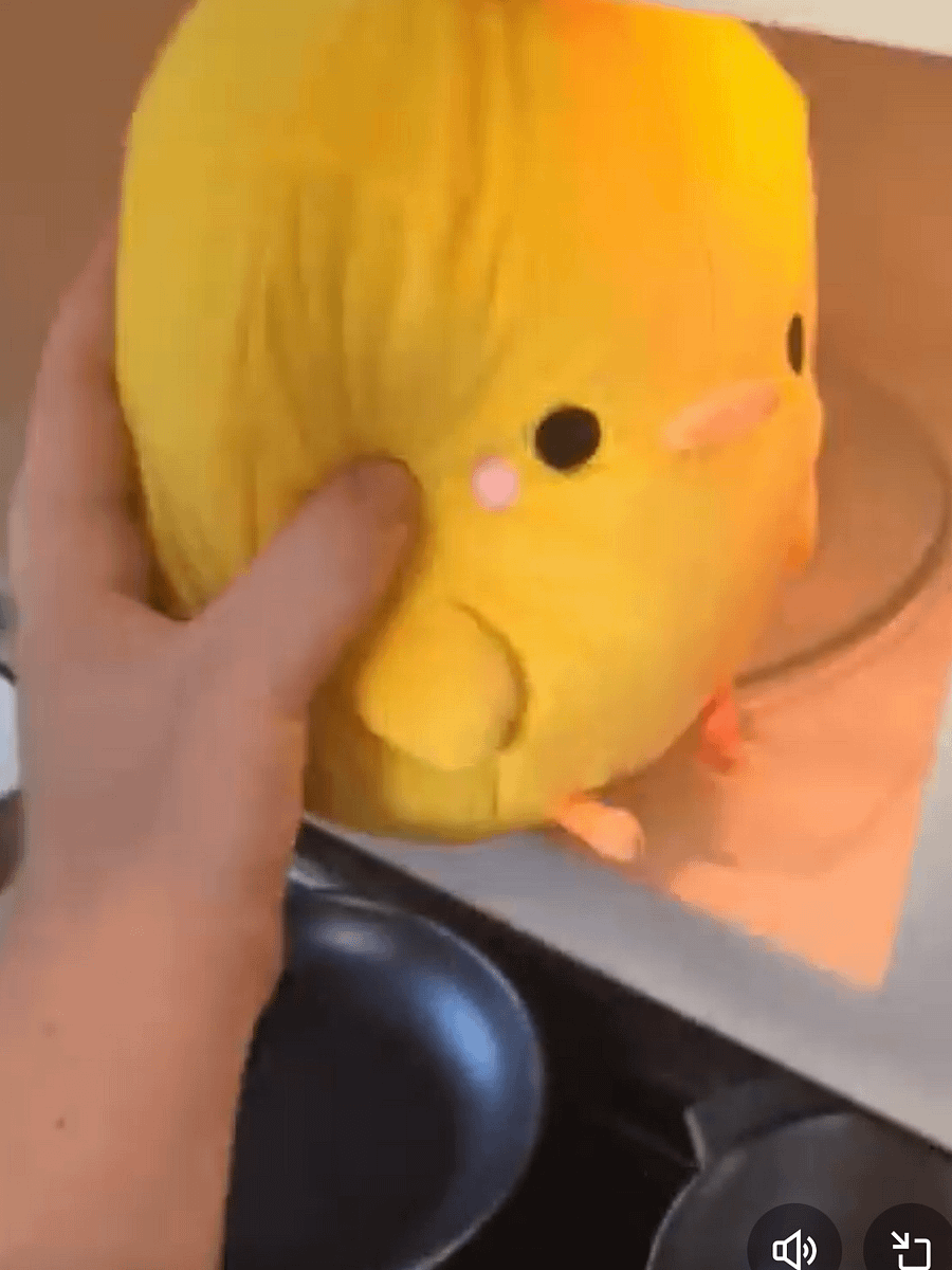 HENRY PLUSH product image (9)