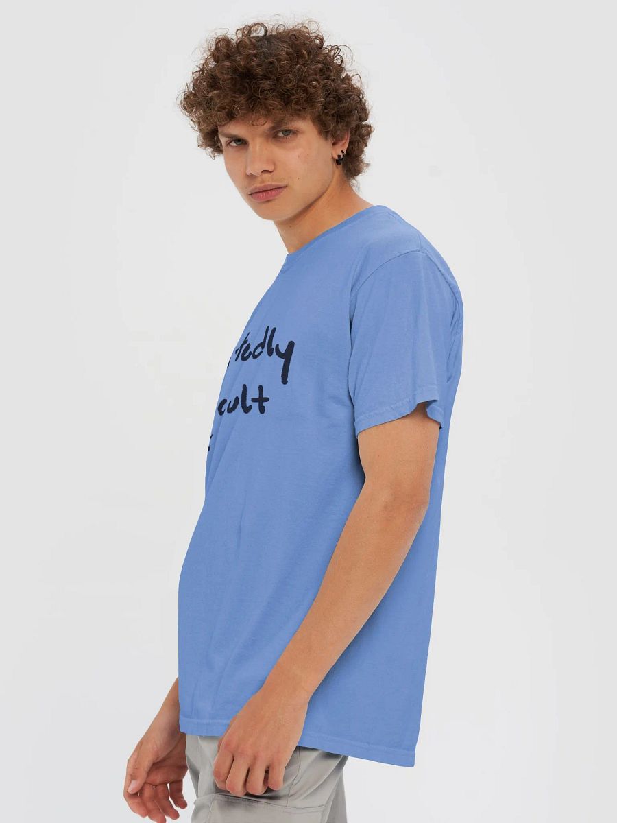 admittedly difficult (#141728) garment-dyed tee product image (6)