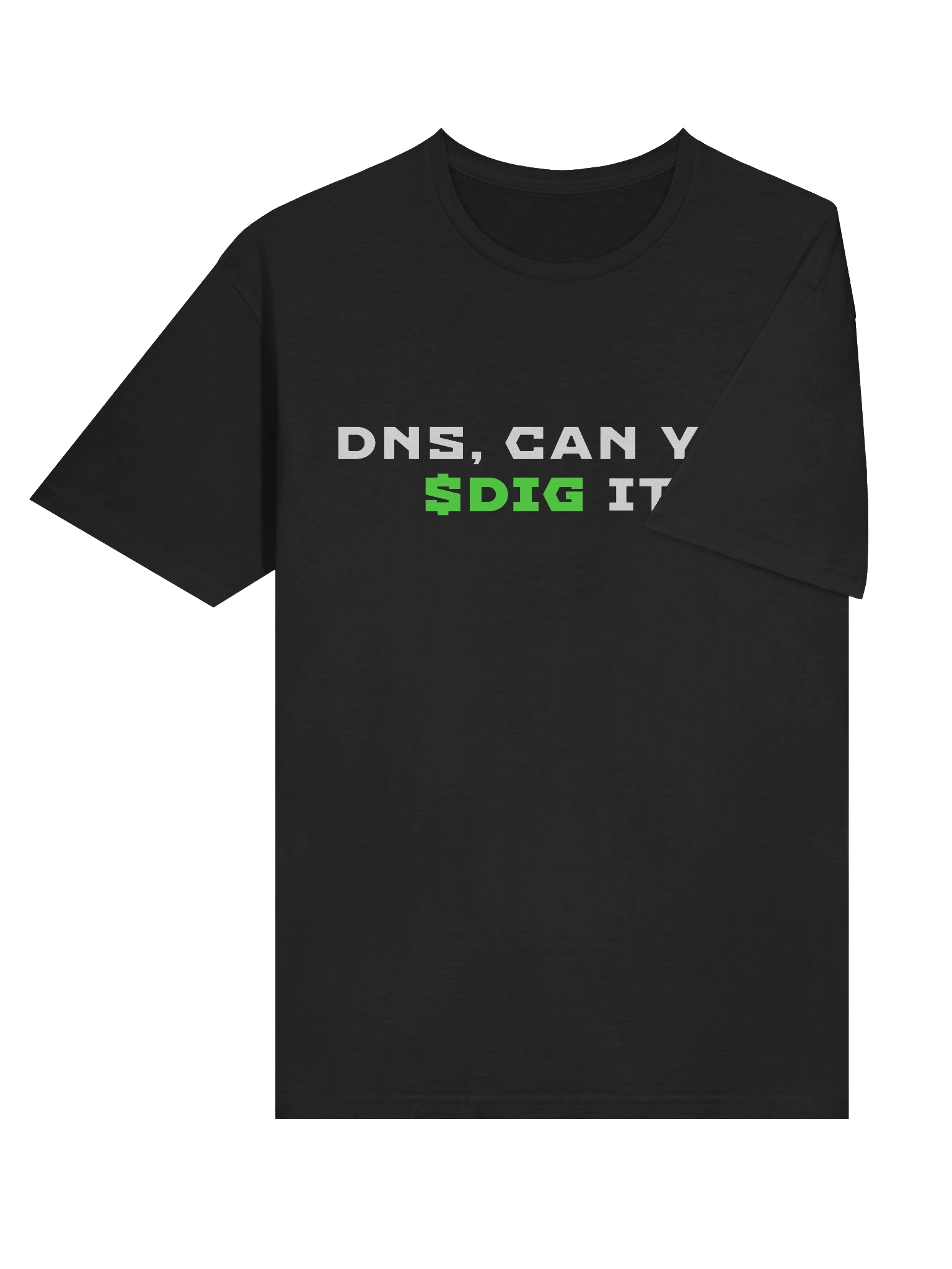 DNS - Can you Dig It? product image (6)