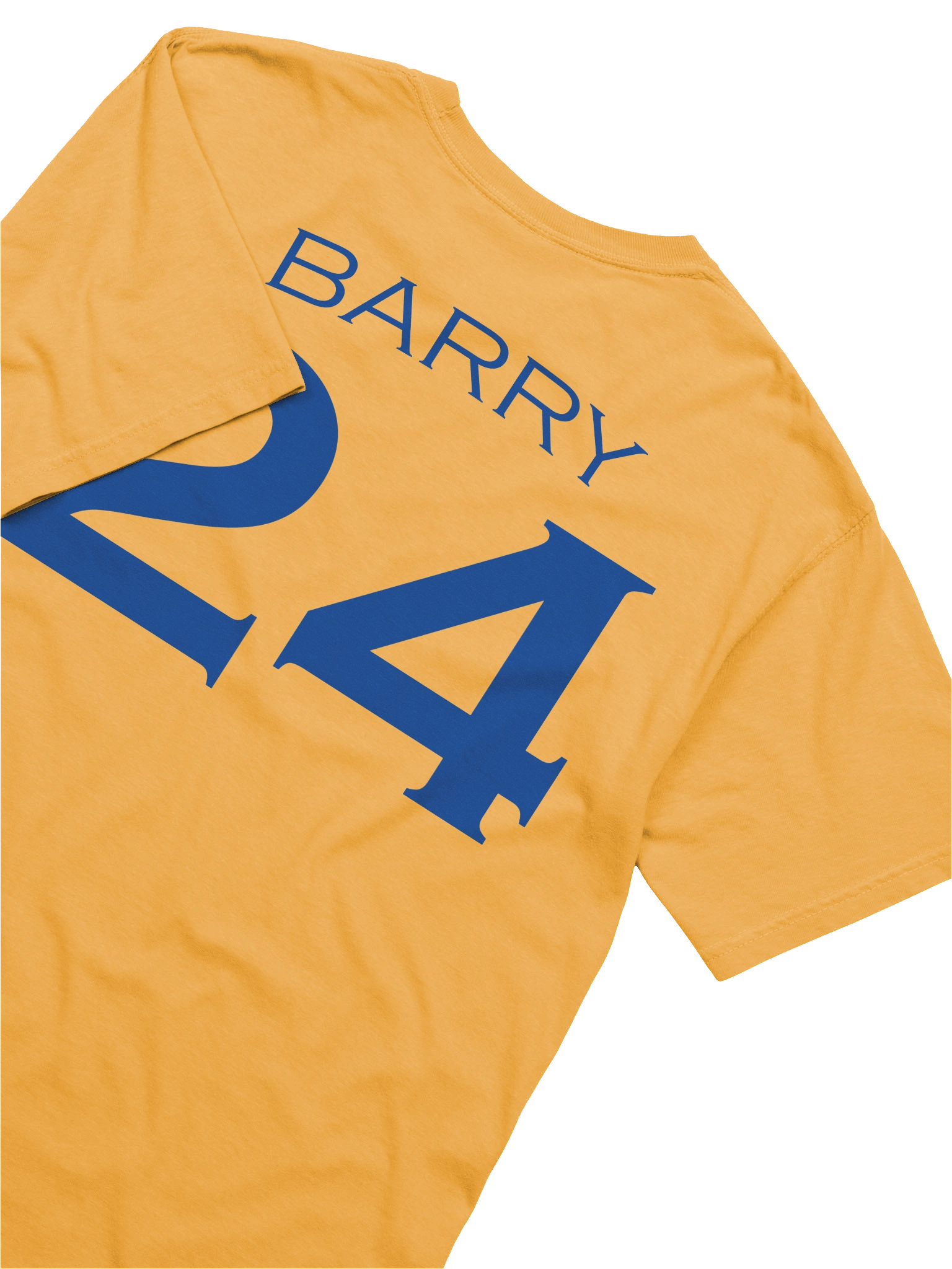 Rick Barry 