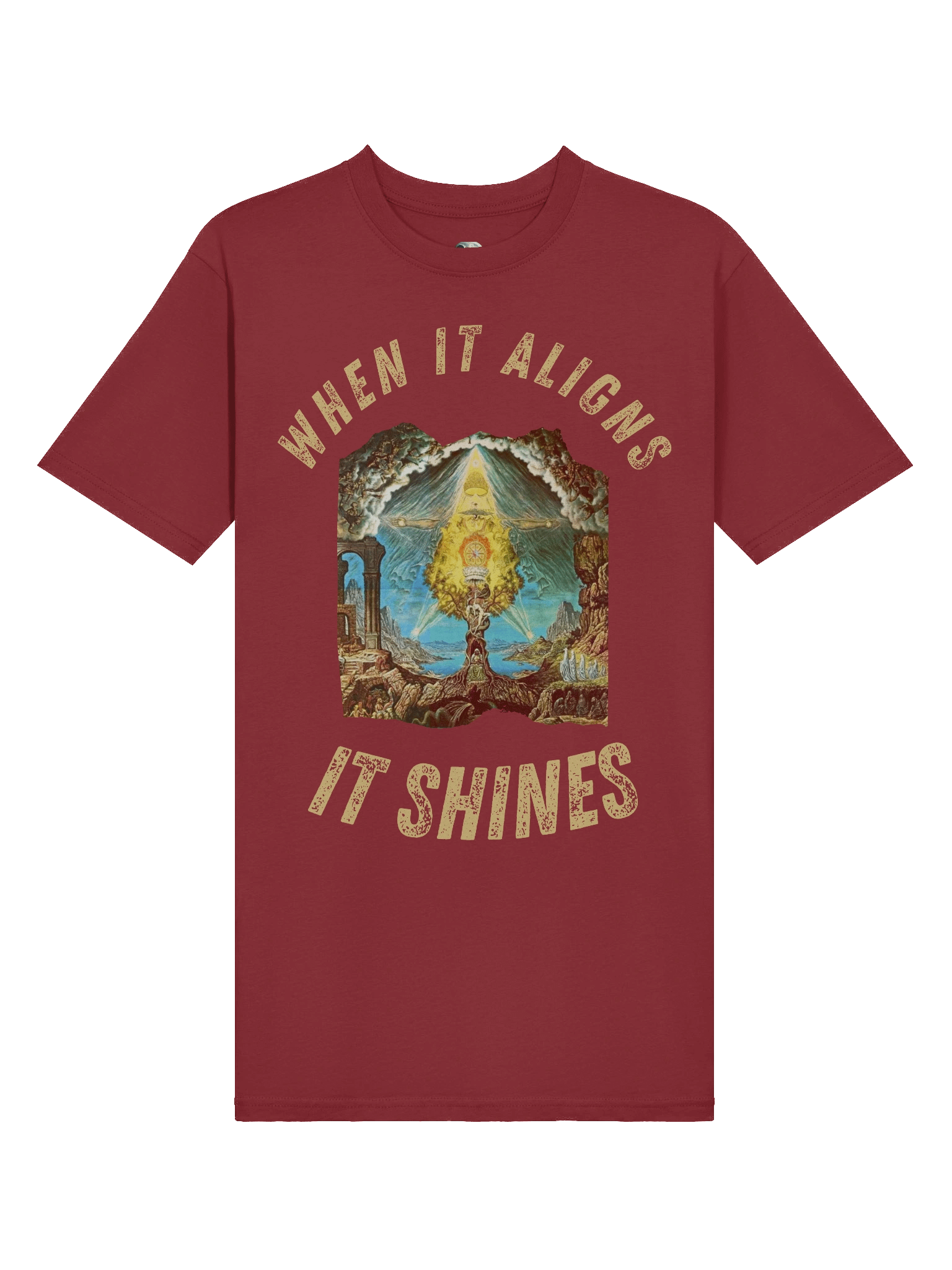 T-Shirt - Male - %100 Cotton - When it Aligns it Shines product image (3)