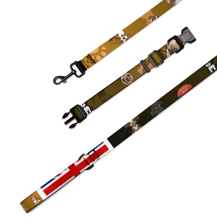 Distorted Dreams Pet Collar & Leash Set product image (4)
