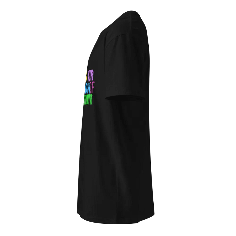 This Is Your Window of Opportunity Tee product image (6)