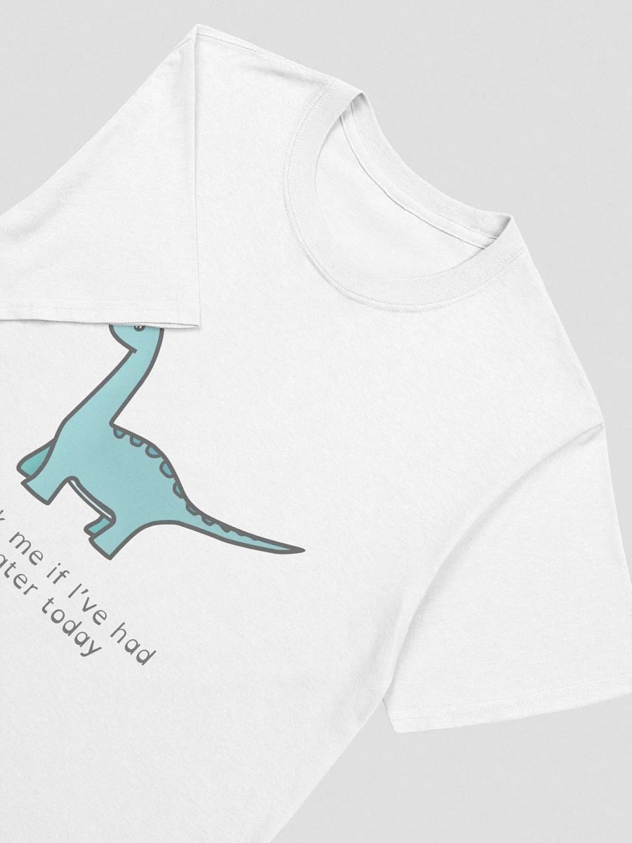 Ask me if I've had water - 2 Sided T-Shirt product image (3)