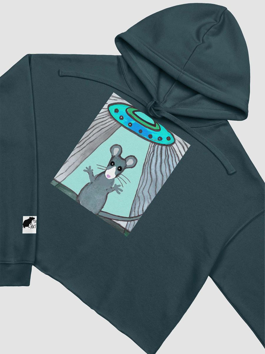 blue rat and UFO cropped hoody (branded) product image (18)