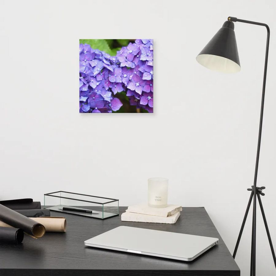 Hydrangeas product image (8)
