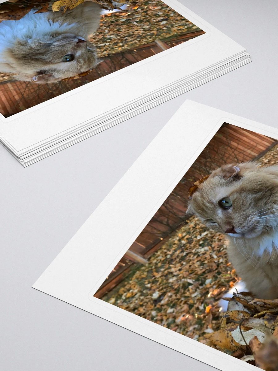 Autumn Boy Sticker product image (4)