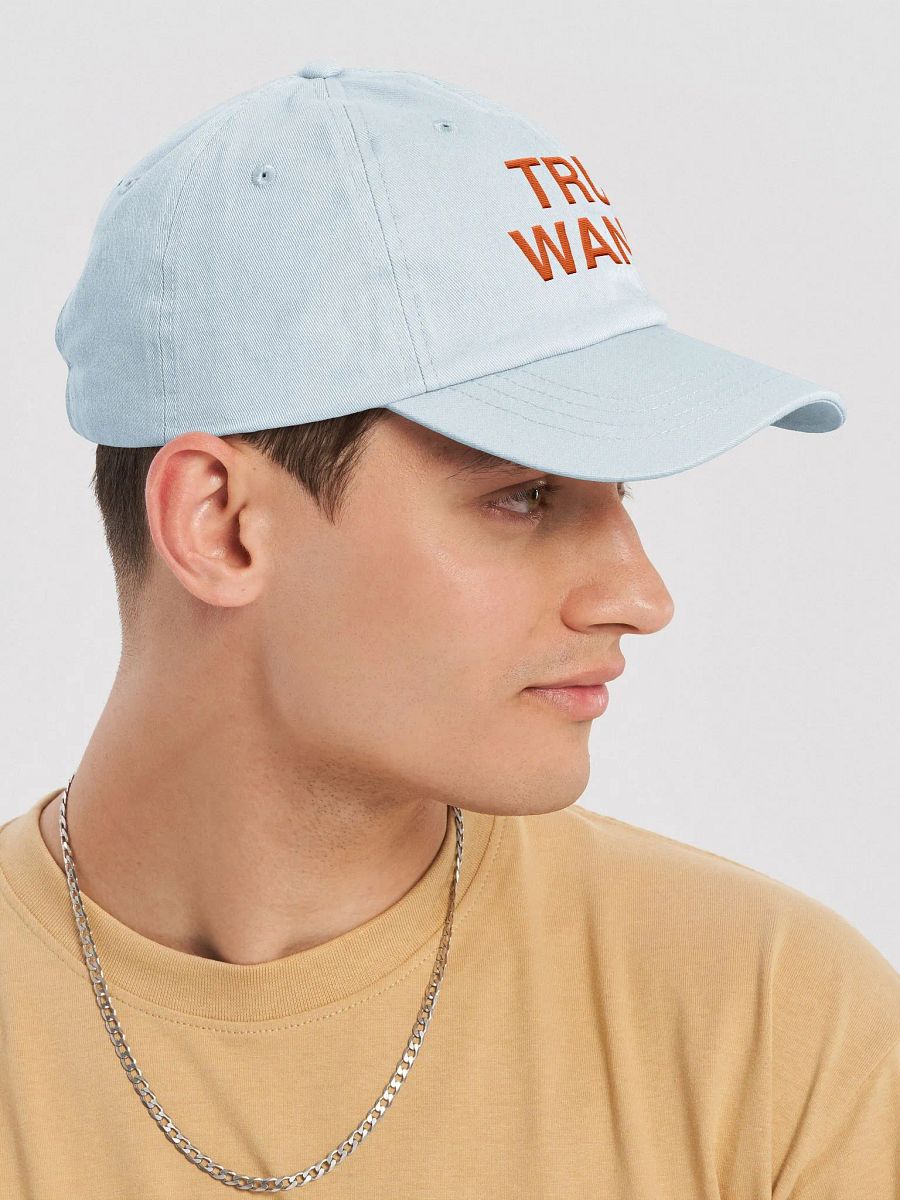 Truth Wanted Pastel Hat product image (23)
