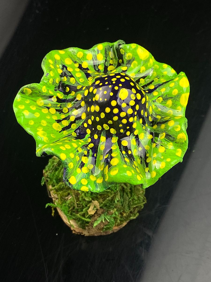 Dark Purple and Lime Green Mushroom product image (2)
