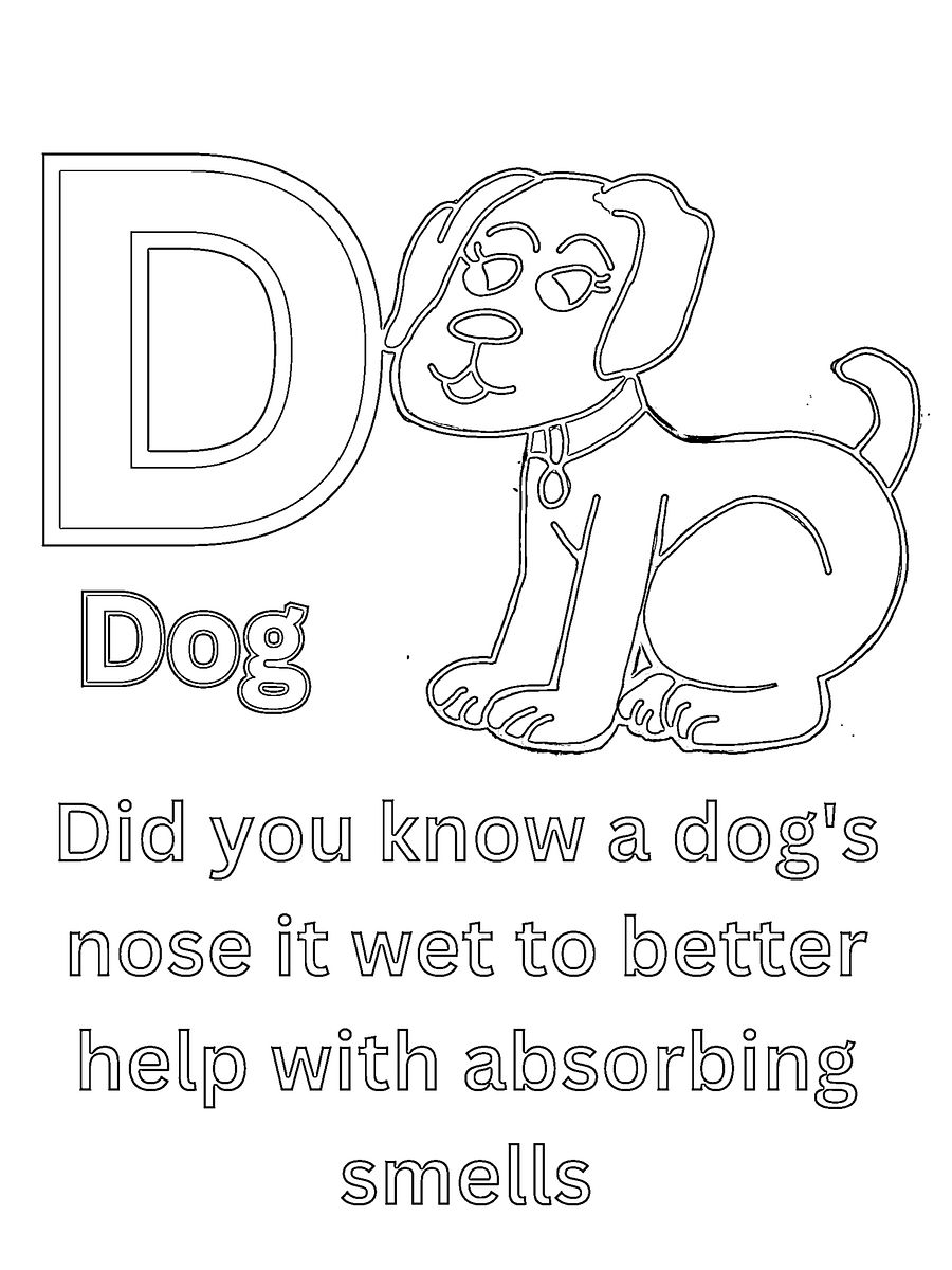 Cool Animal Facts ABCs Coloring Book: Animal Names and Information for Preschoolers and Kindergarten Children product image (3)