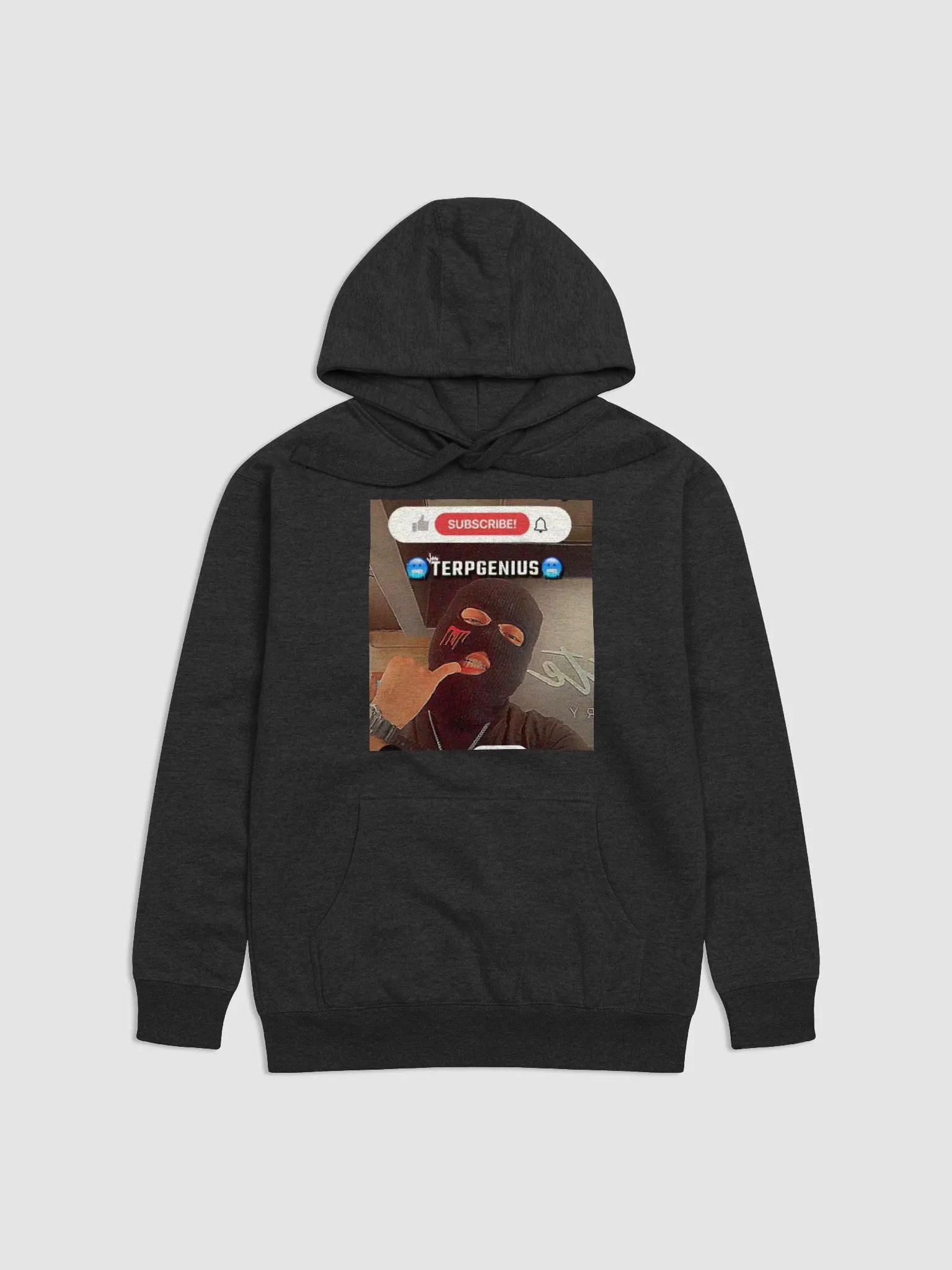 terp genius hoodie product image (1)