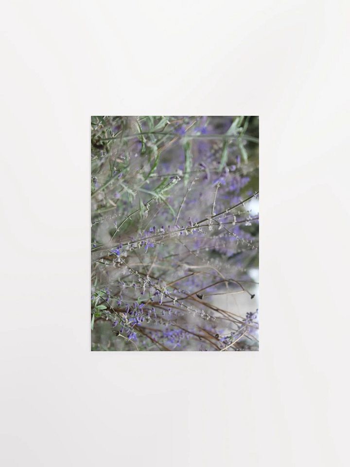 A Study in Flowers 13 product image (2)