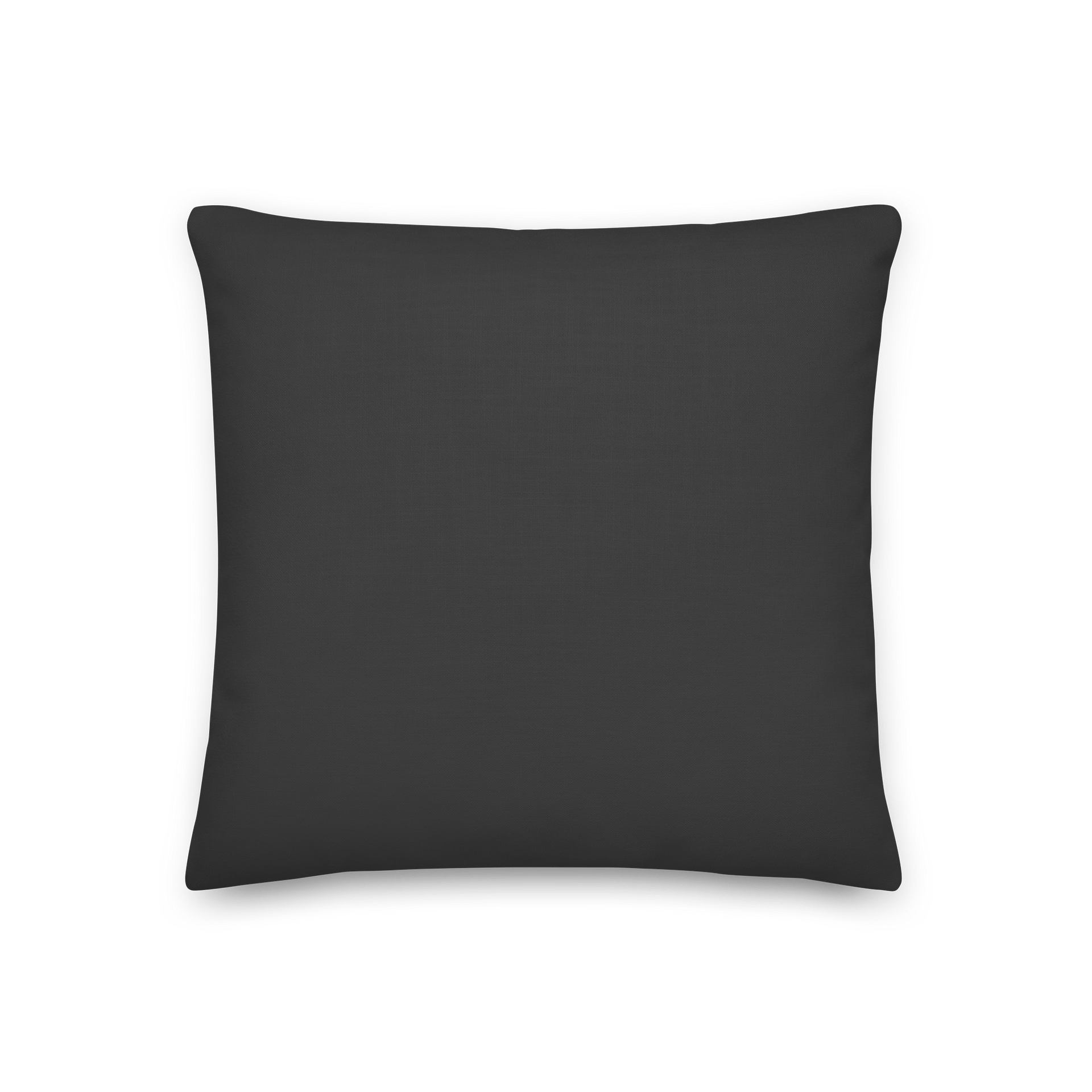 Baddies Read Pillow product image (2)