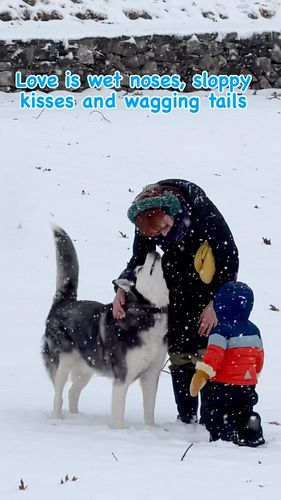 Love is wet noses, sloppy kisses and wagging tails. #iphone15promax #gopro11 #firstsnow2024 #instagram #husky #fairytale #for...