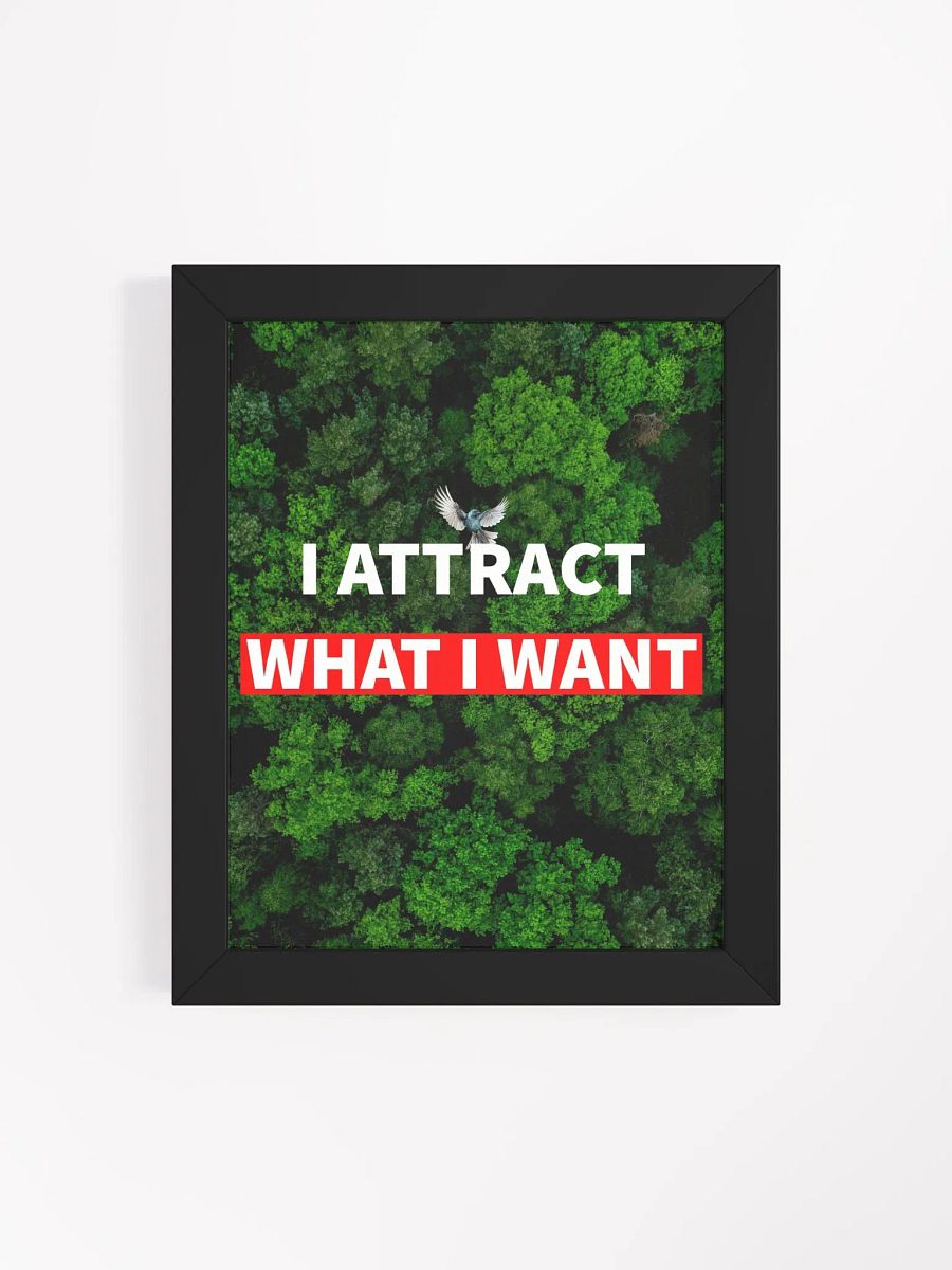 i attract what i want product image (16)