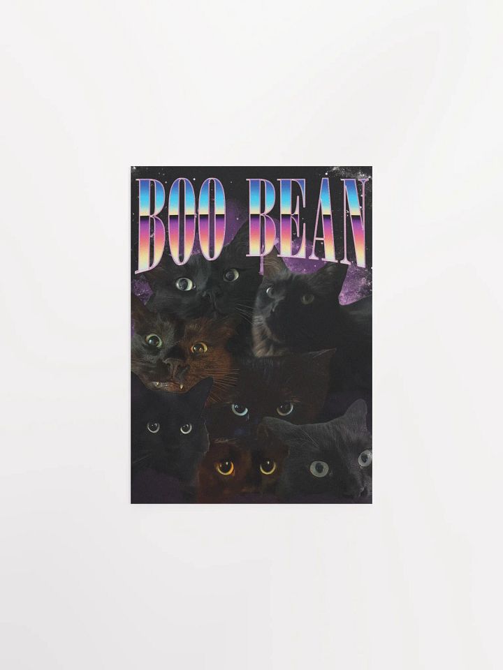 Many Faces of Boo - Poster Edition product image (1)