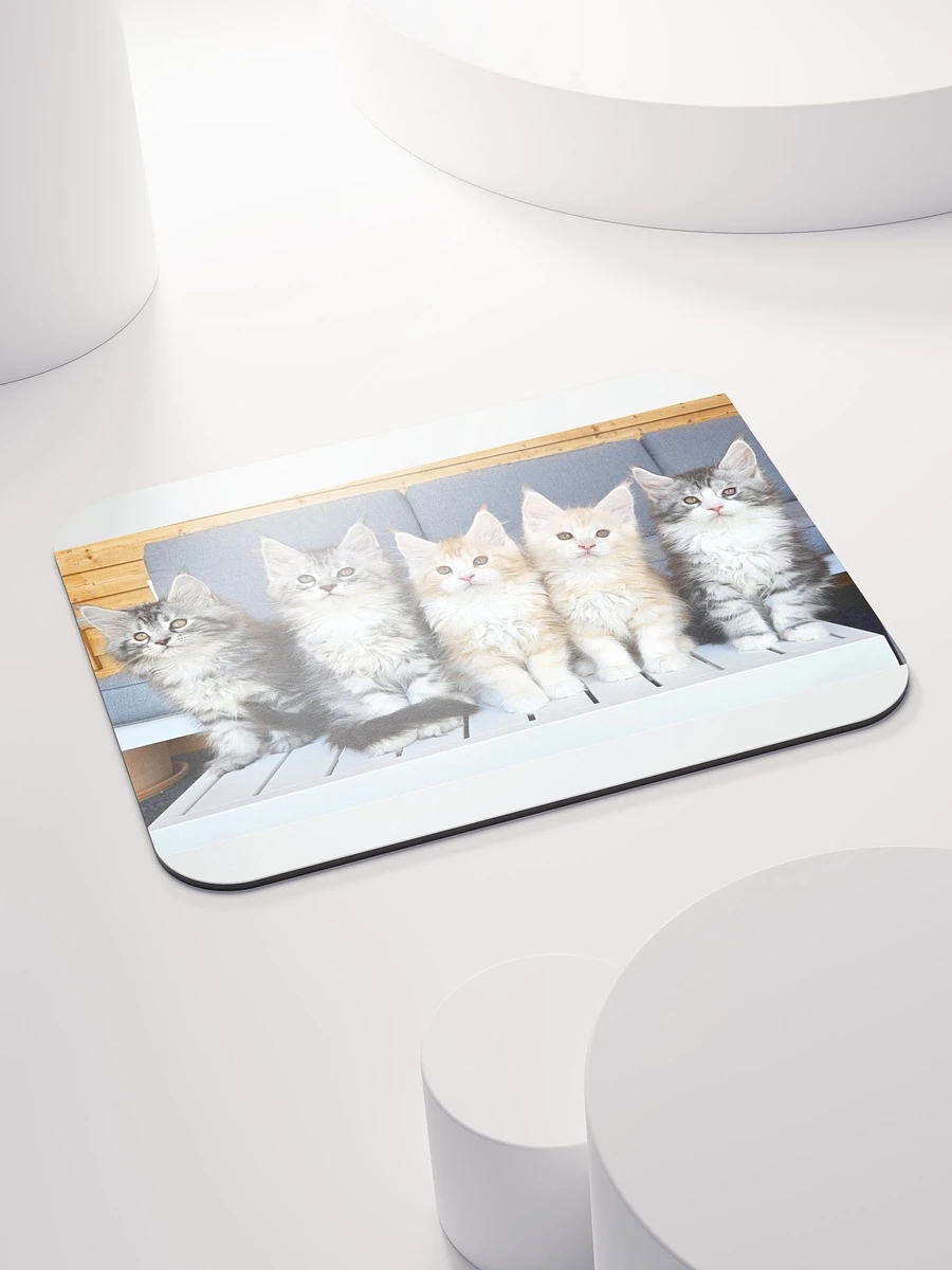 Maine Coon Kittens Mouse Pad product image (4)