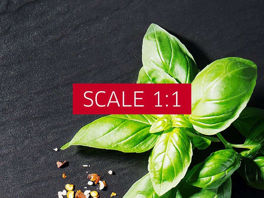 Food kitchen poster: Garlic and basil (Italian, Spanish cuisine) — Kitchen wall decor product image (4)