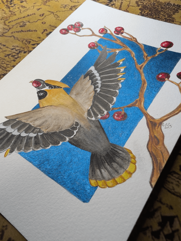 Waxwing Autumn product image (2)