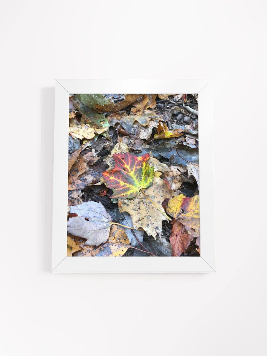Natural Fall Leaf High Quality Matte Poster product image (1)