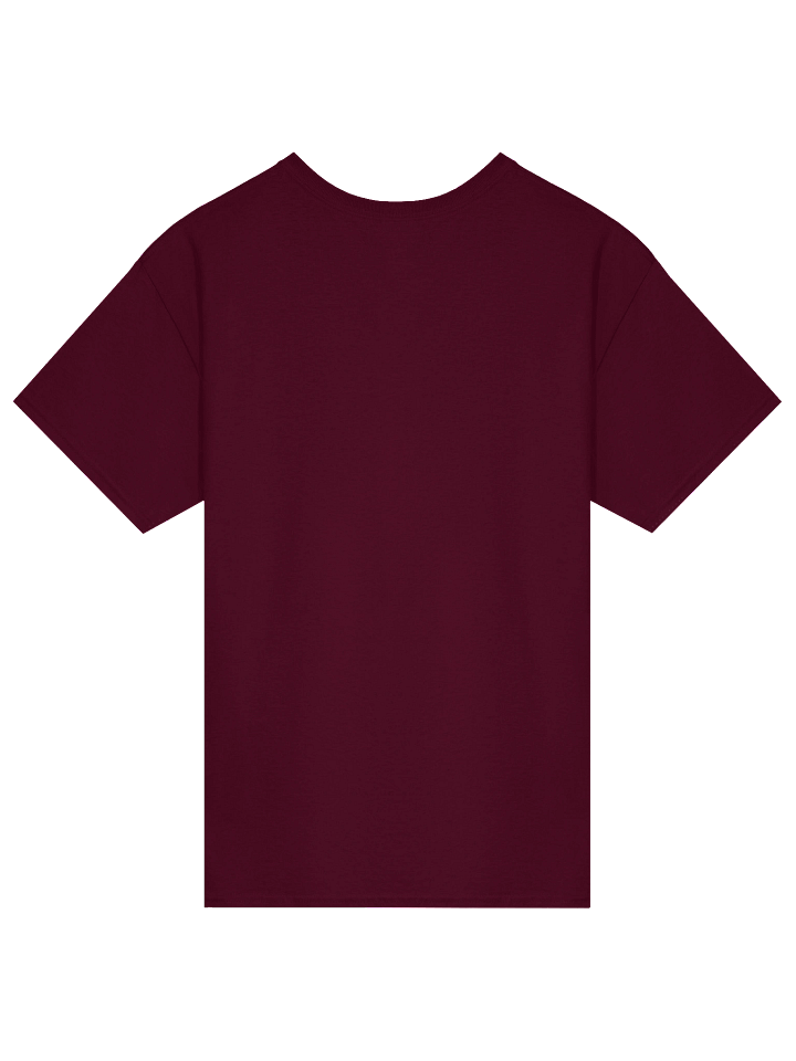 Leveling Up In Real Life - Gamer Motivation T-shirt product image (2)