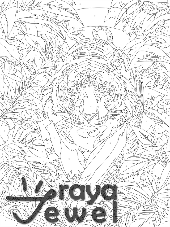 Tiger! Color by Number Coloring Page product image (2)