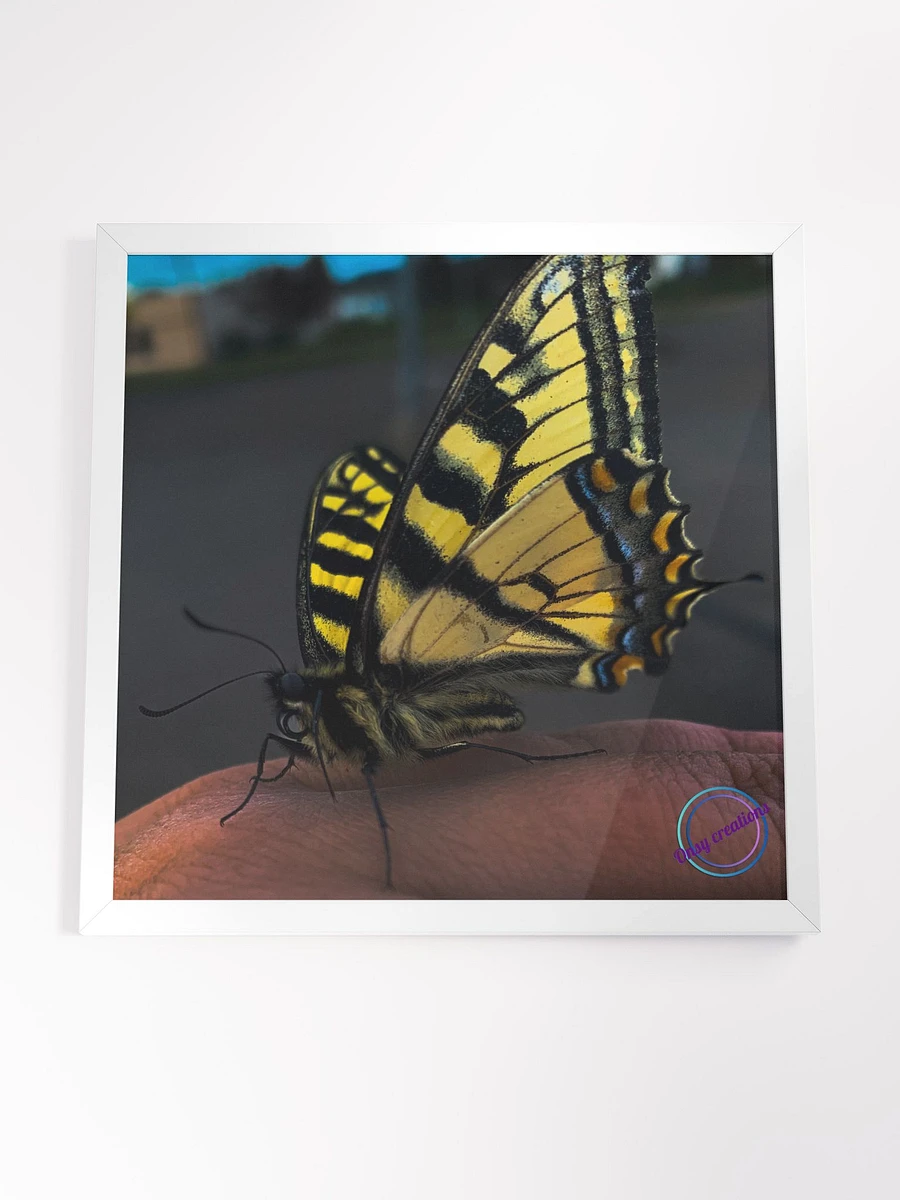 Chillin Butterfly product image (4)