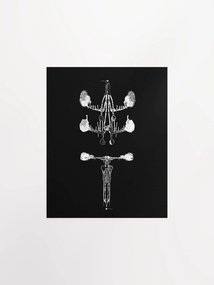 Inkblot no.4 | Poster/Print | 8x10 product image (1)