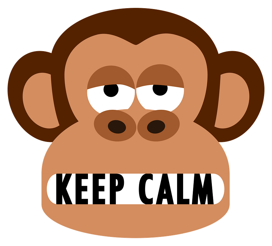 Bored Monkey Tells You To Keep Calm T-Shirt product image (2)