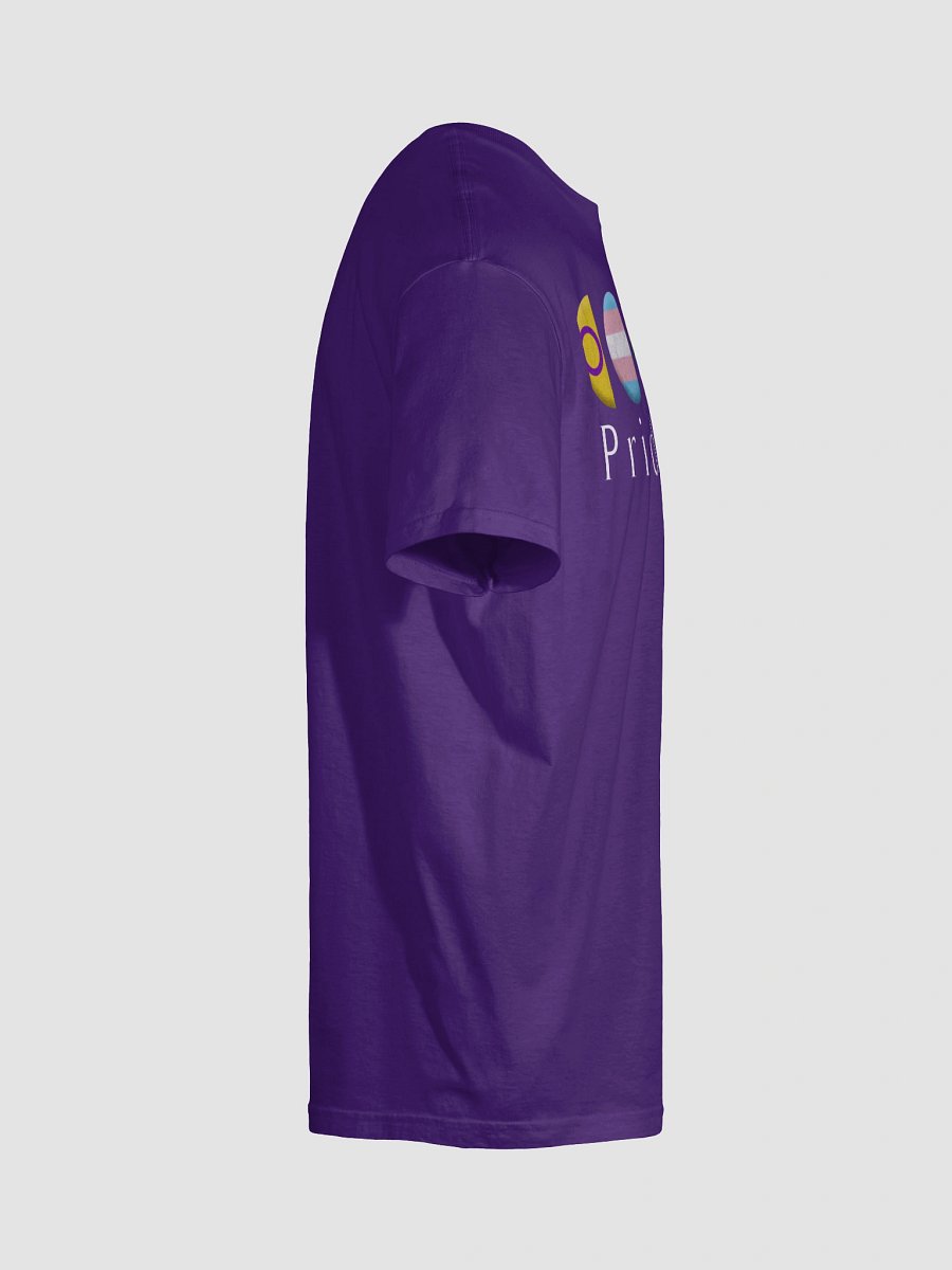 Pride 365 Tee product image (69)