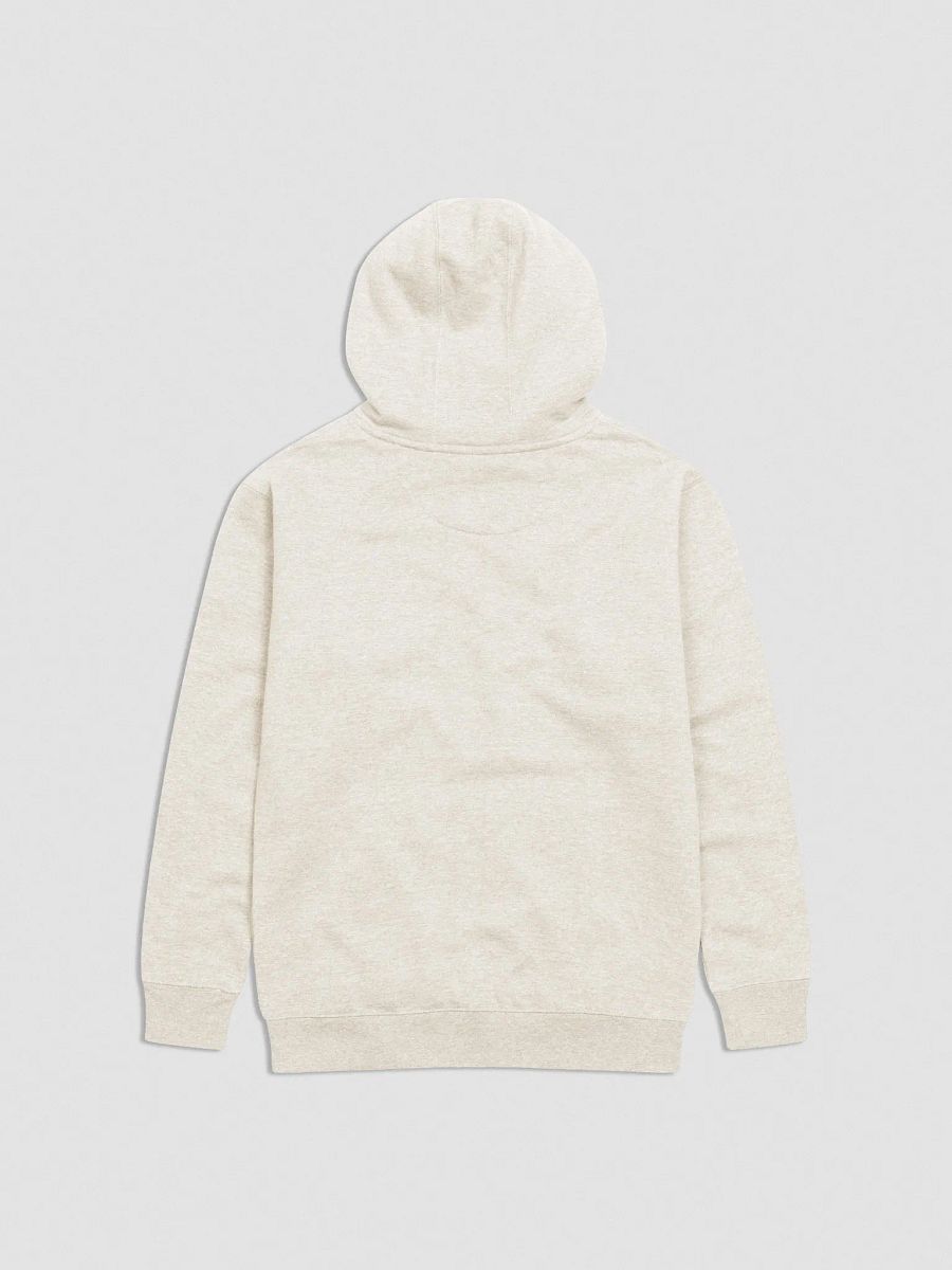 Conducive Hoodie (Embroidered) product image (5)