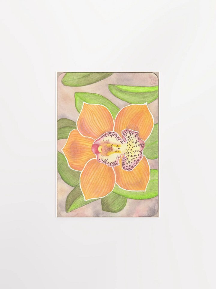 Orchid, Barrita Eminence product image (1)