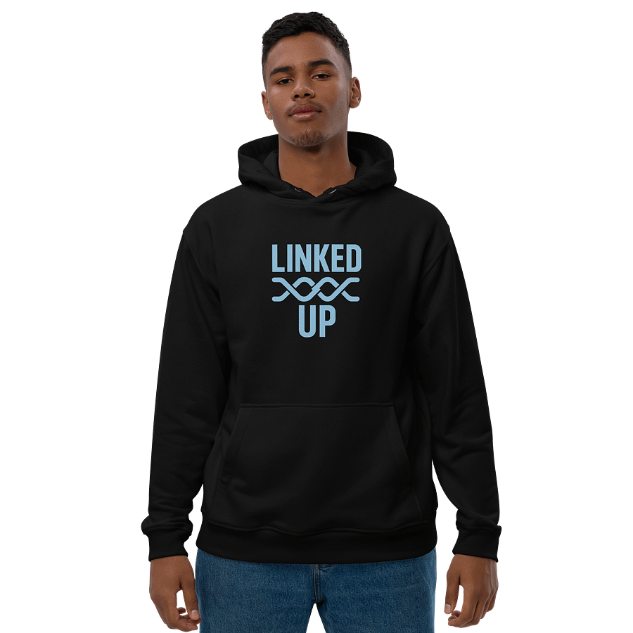 WilkyFAM/ StreamLINK "Linked Up" Hoodie product image (1)