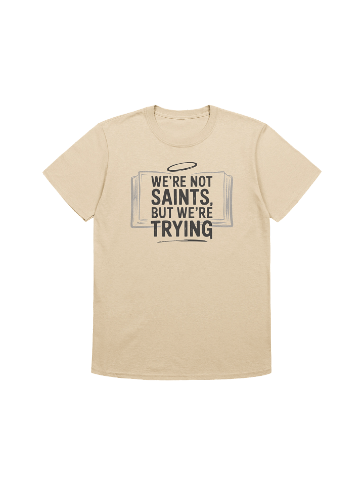 We're Not Saints... product image (1)