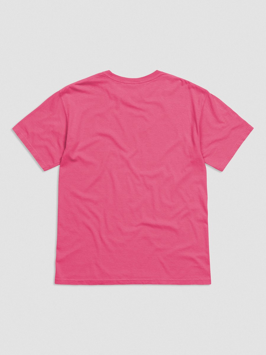 Riotous Reader Embroidered Tee (Light) product image (2)