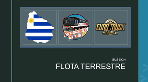 Pack Semi Completo de Buses y Skins 🇺🇾 ETS2 | Simulación Terrestre product image (11)