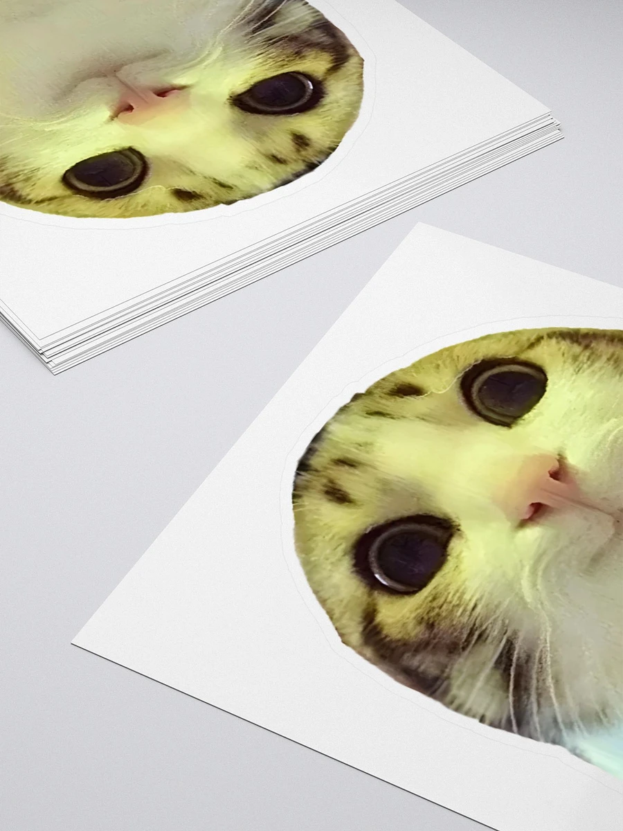 Kiss Cut Stickers: Meme Cats product image (4)