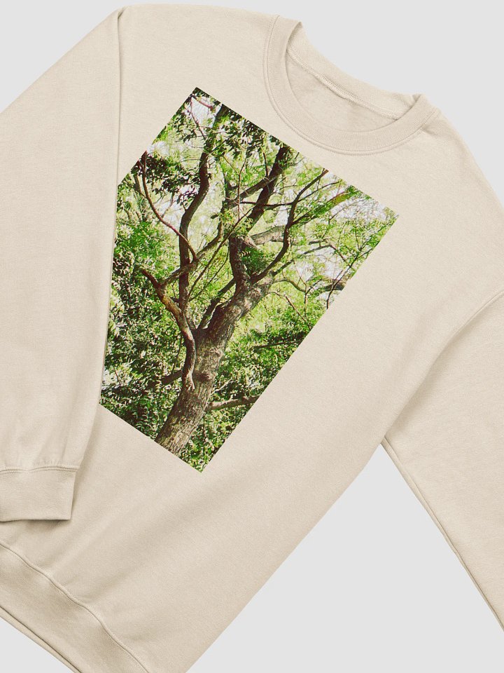 Earth tone DIVINE MUSIC sweatshirt product image (2)