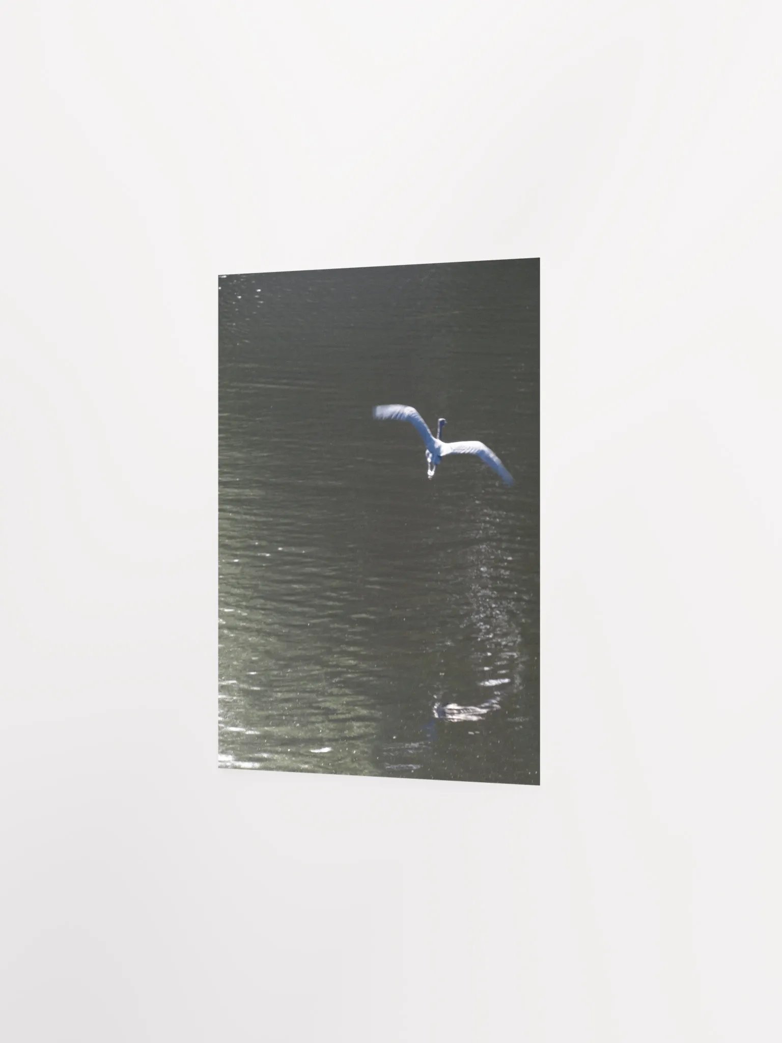 Flying Heron product image (18)