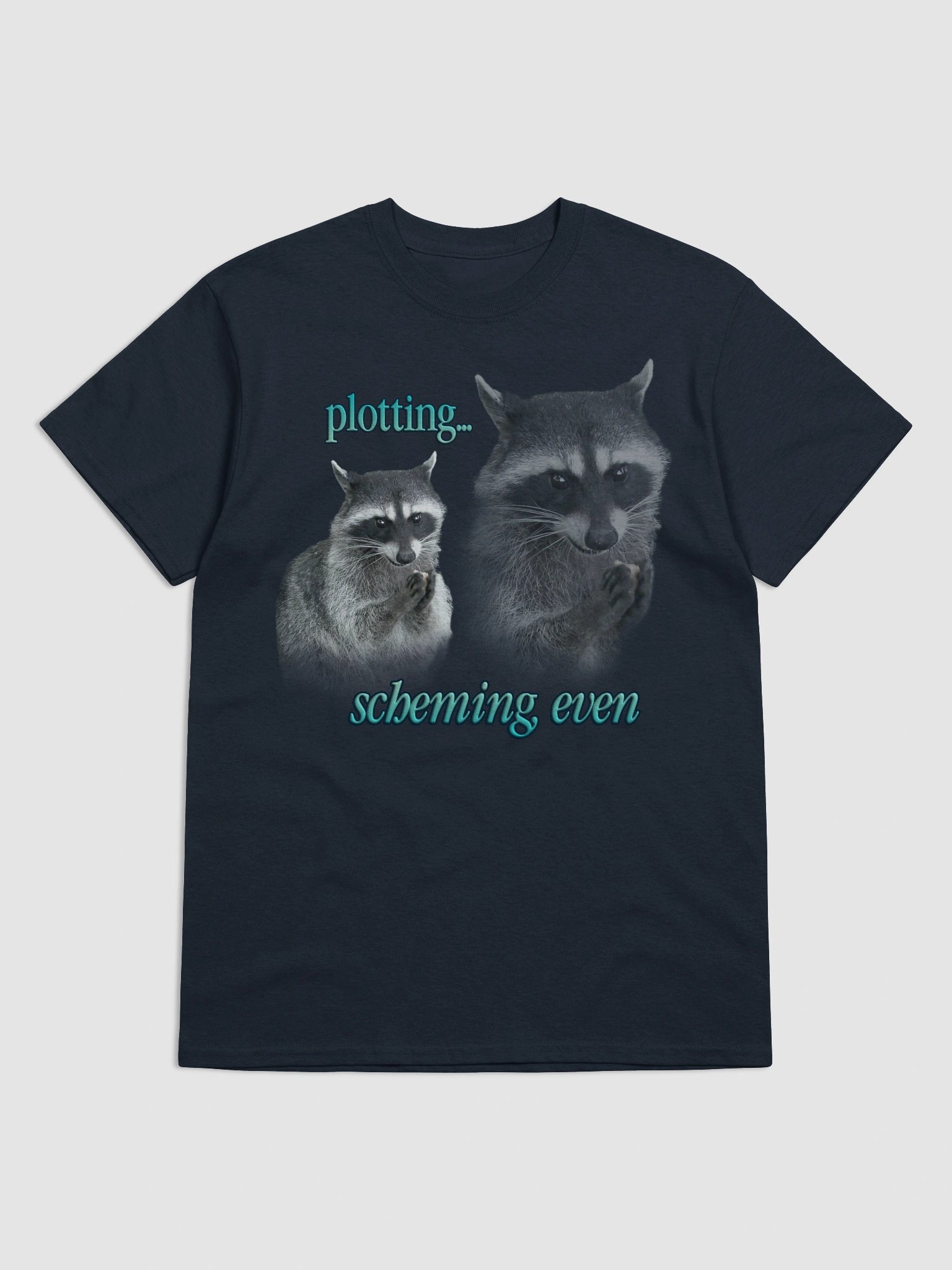 Plotting & Scheming Raccoon T-Shirt product image (1)