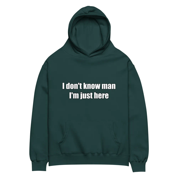 Just Here Premium Hoodie product image (2)