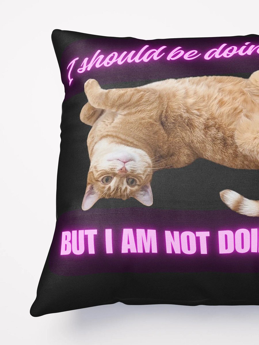 Cat Pillow product image (4)