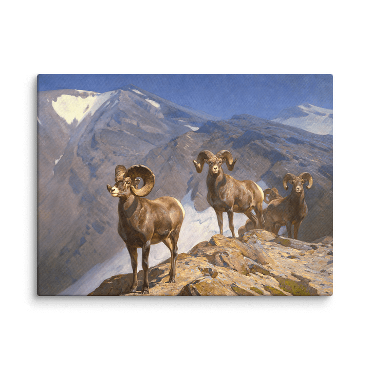 Bighorn Sheep Canvas Wall Art Print product image (4)