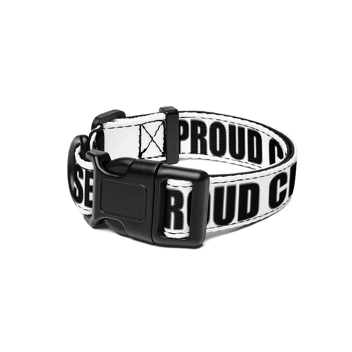 PROUD CHASER pet collar product image (1)
