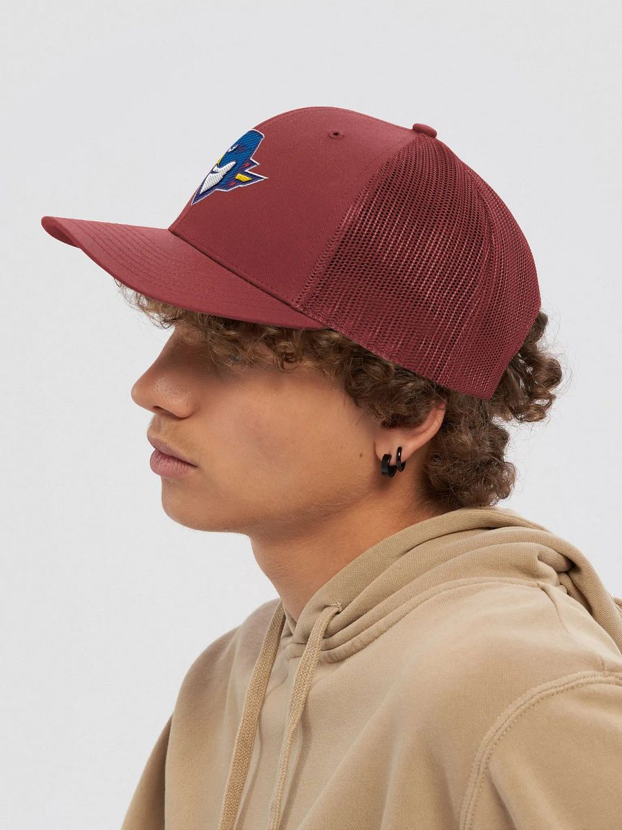 Thunderbirds Hat product image (25)